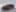 2023 Toyota Sequoia